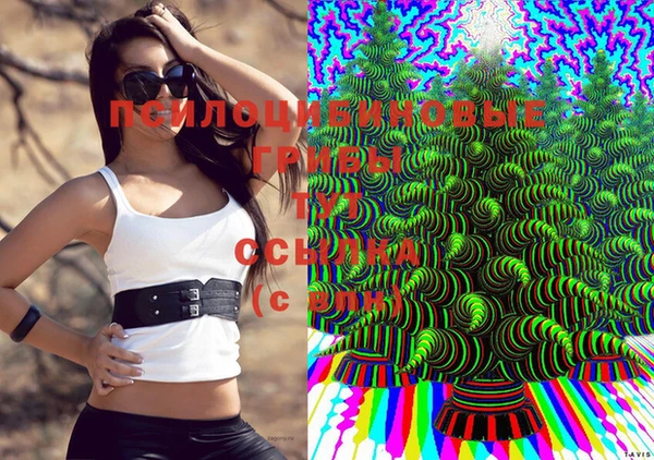 прущая мука Абинск