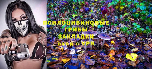прущая мука Медвежьегорск