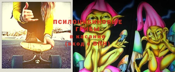 гидропоника Алзамай